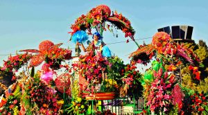 Carnavalul de la Nisa, Agentie de turism Constanta