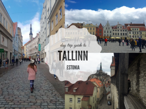Sejur, Tallinn, Agentie de turism Constanta